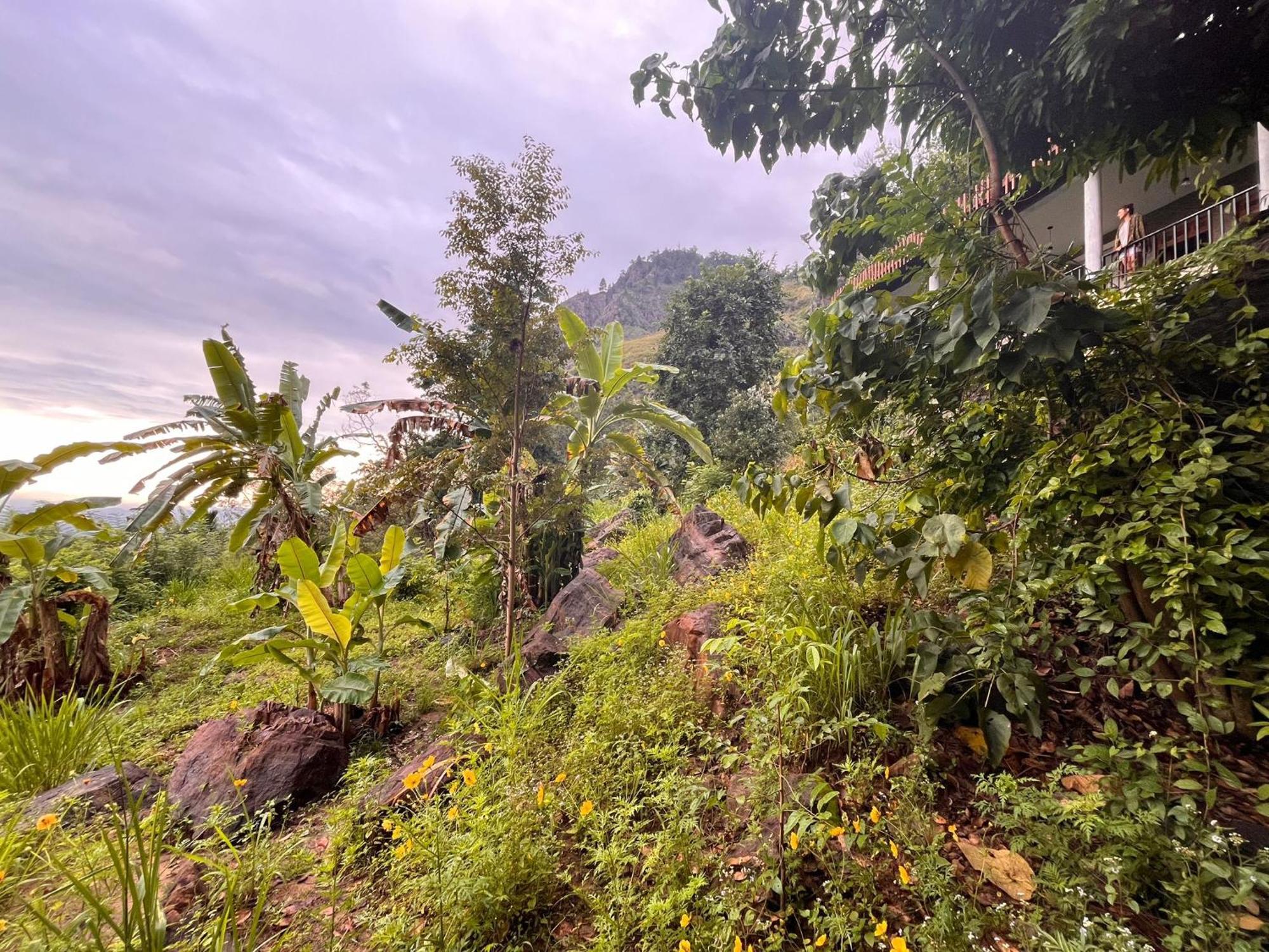 Nature Green Hotels On Rock Home Ella Exterior photo