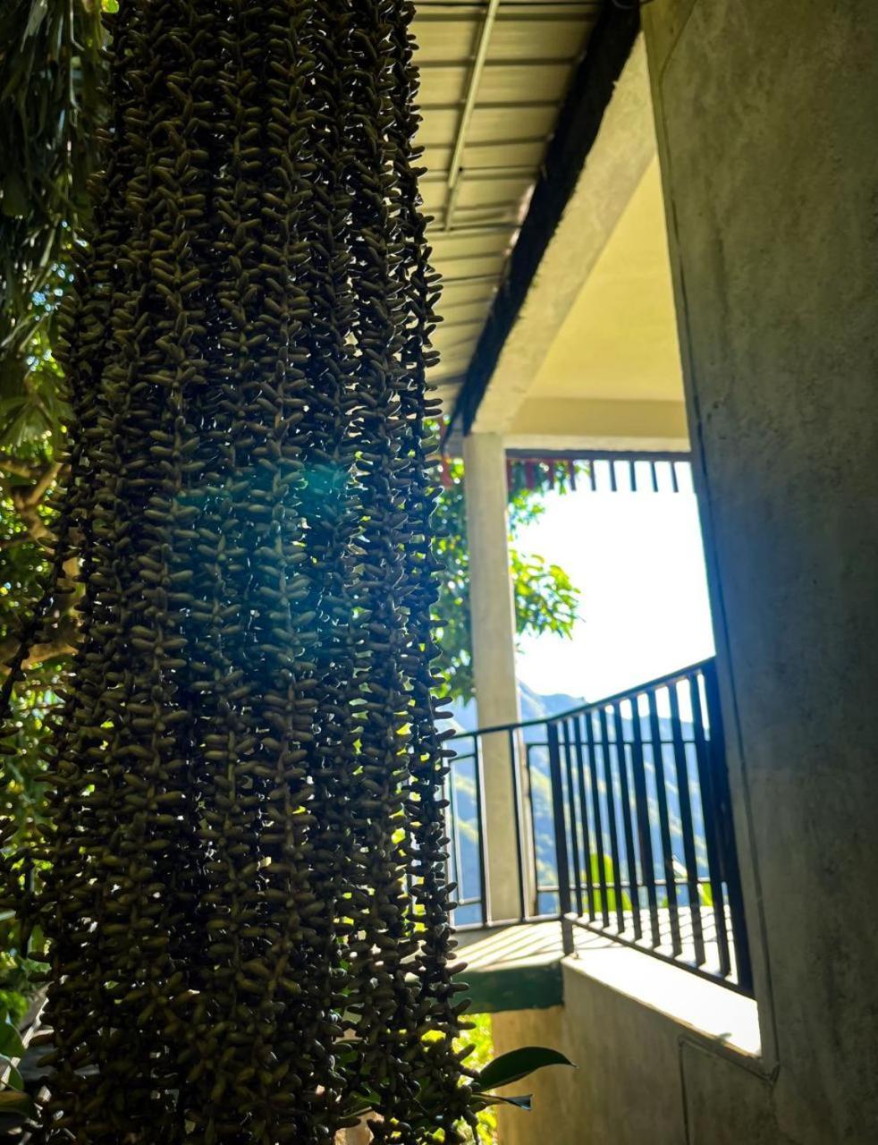 Nature Green Hotels On Rock Home Ella Exterior photo