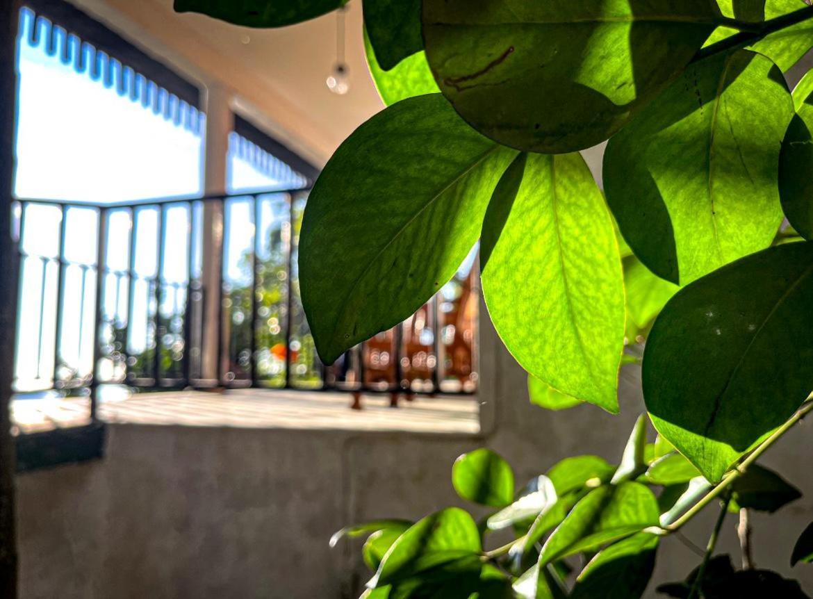 Nature Green Hotels On Rock Home Ella Exterior photo